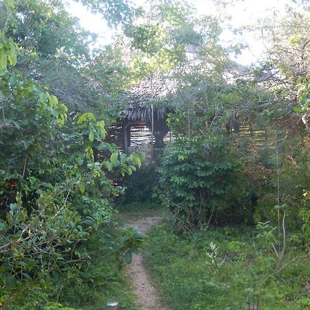 Wasini Island Bandas Екстериор снимка