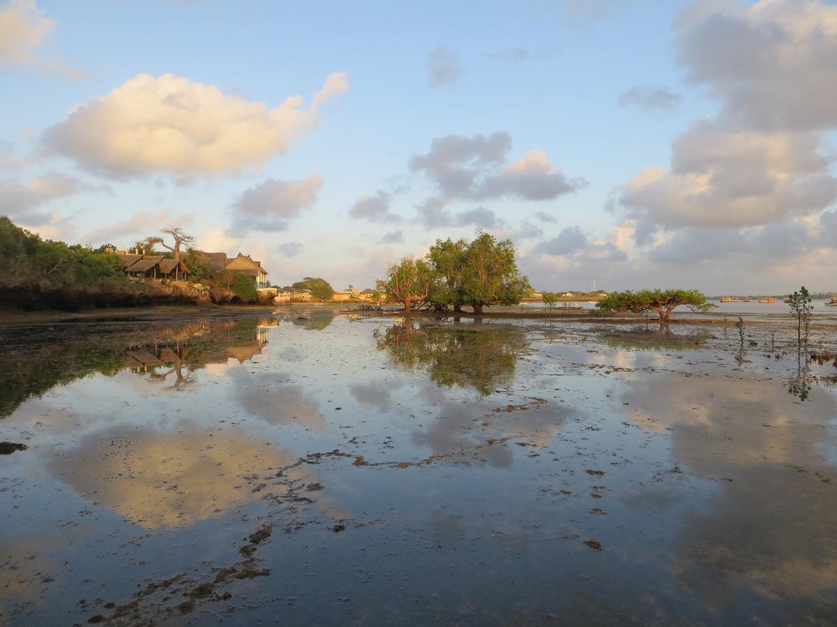 Wasini Island Bandas Екстериор снимка