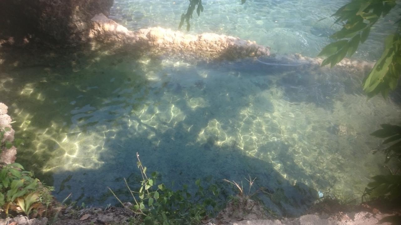 Wasini Island Bandas Екстериор снимка